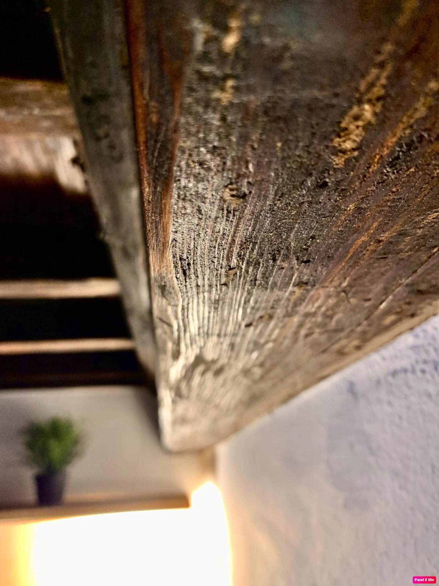 La Bella Vita Apartment Firenze Bagian luar foto